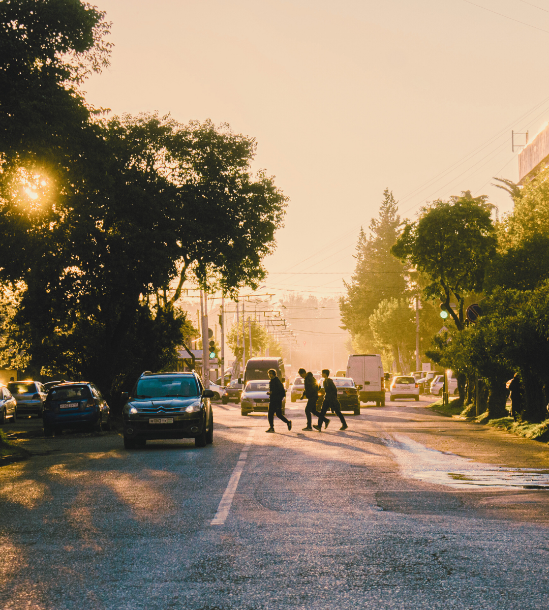 Breo Is Back Home — A New Chapter Begins