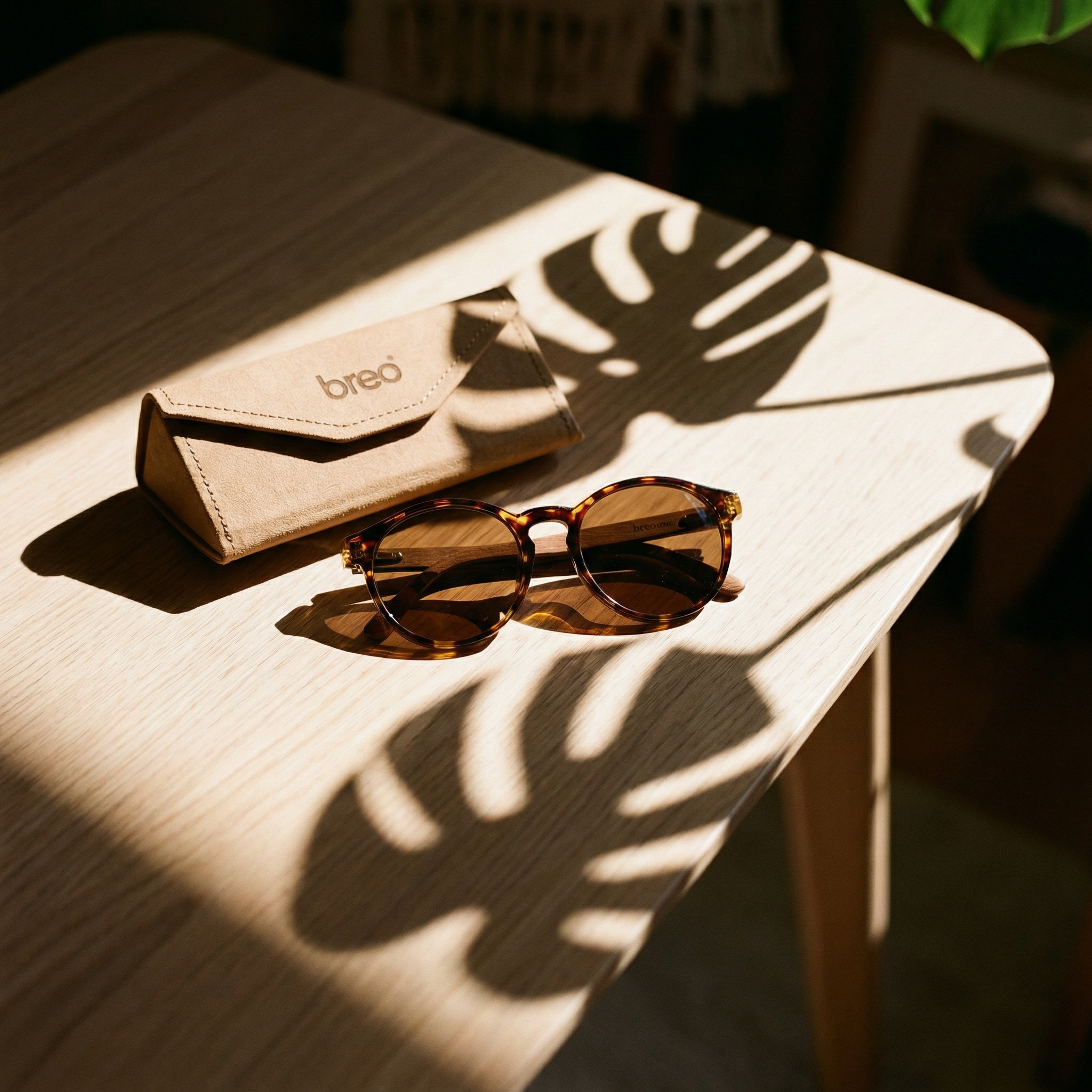 Fold Sunglasses Case from Breo Studio - Breo Studio