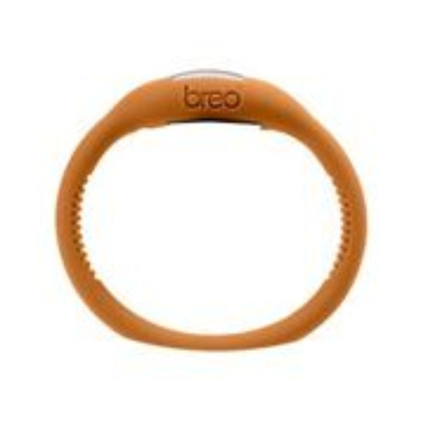 BREO ROAM WATCH 2.0 - Breo Studio